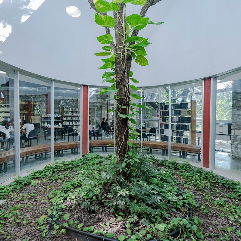 Vista interior en biblioteca conviviendo con la naturaleza