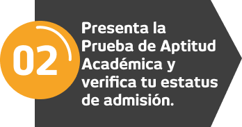 Paso 2 de proceso de admisión profesional