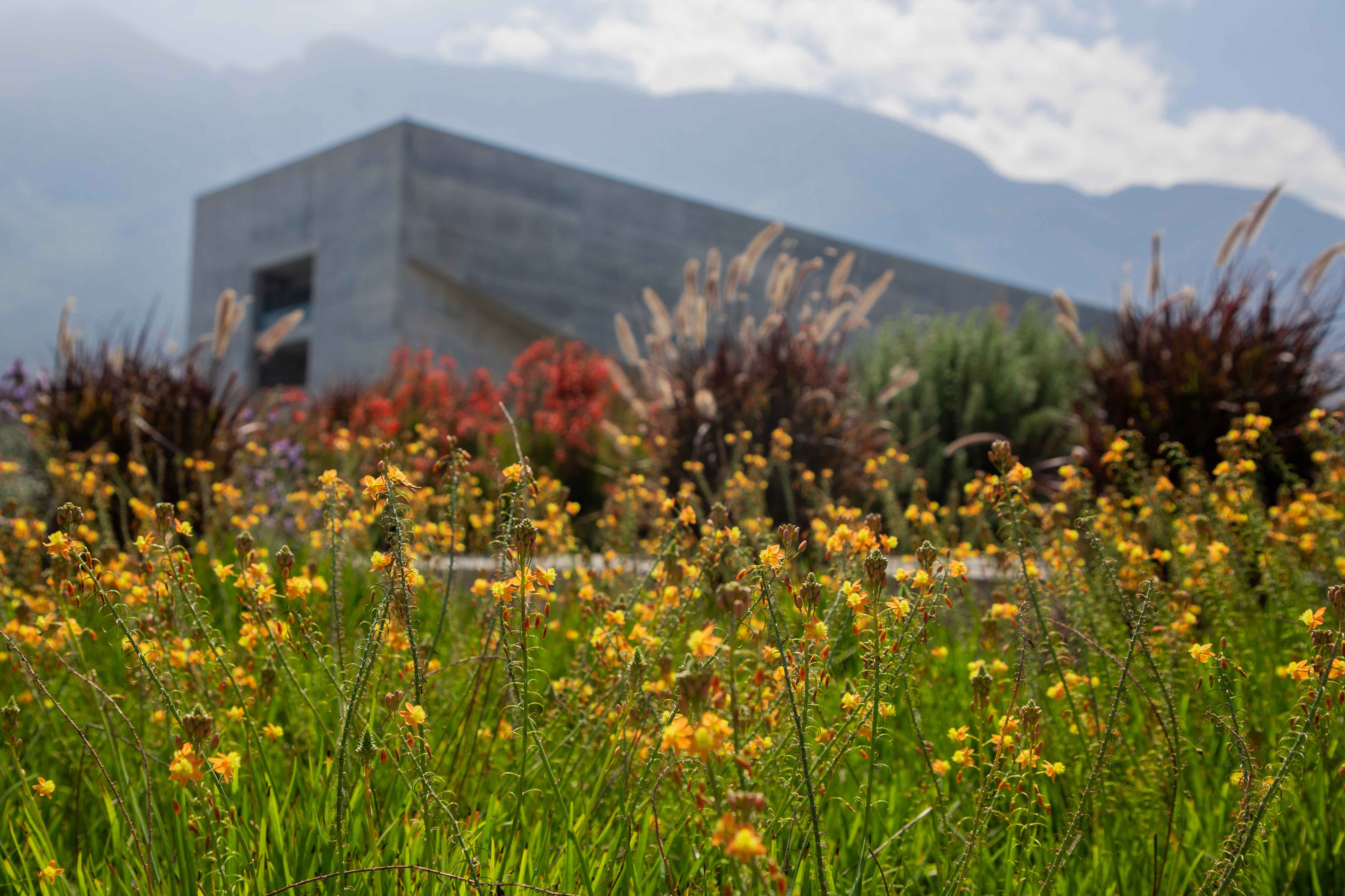 CRGS Jardín UDEM