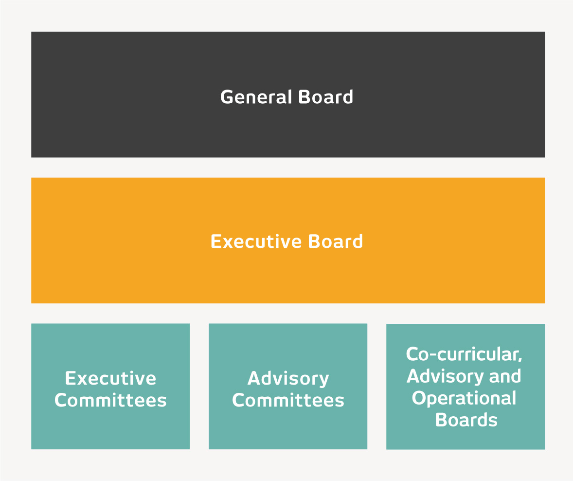 Organizational Chart UDEM Council