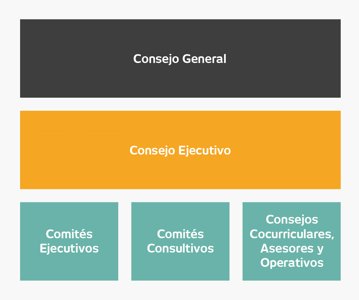 Organigrama Consejo UDEM