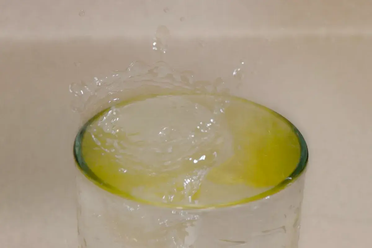 Alientan alternativas de tratamiento del agua   