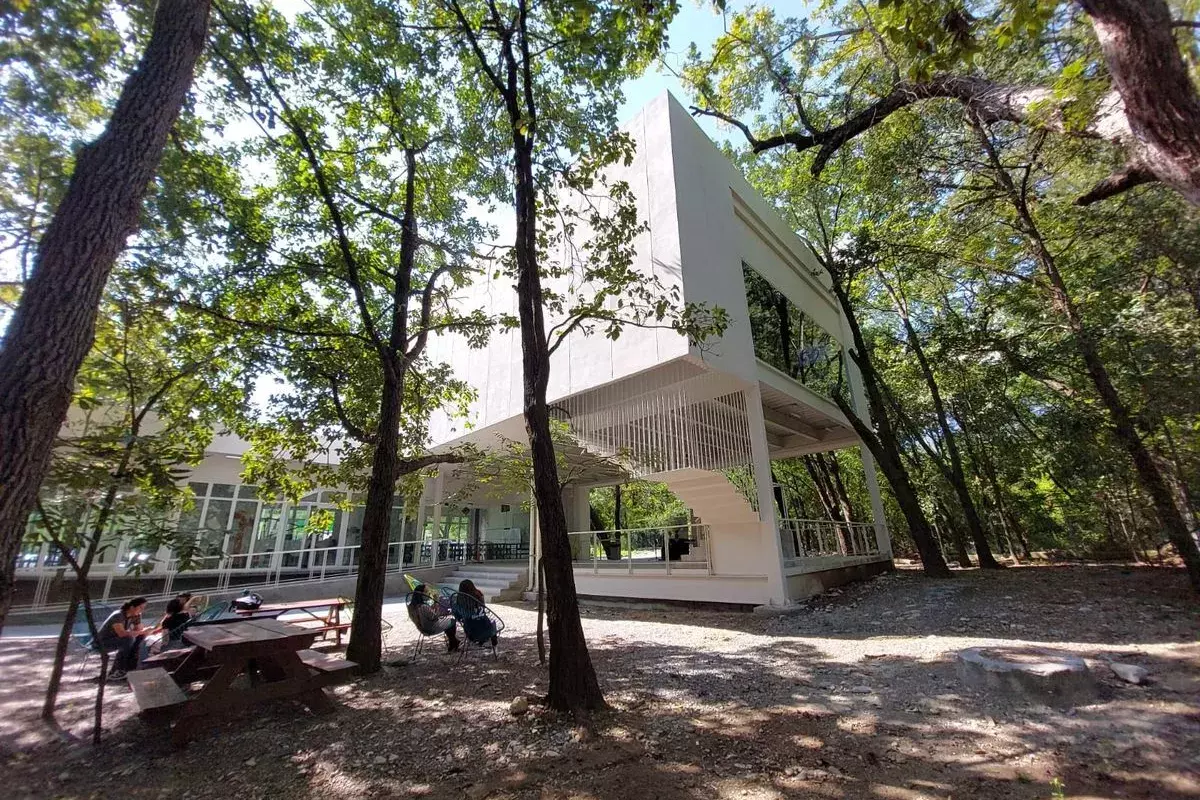Archivo UDEM