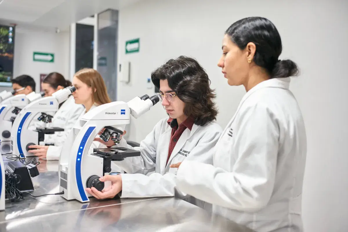 Alumno microscopio