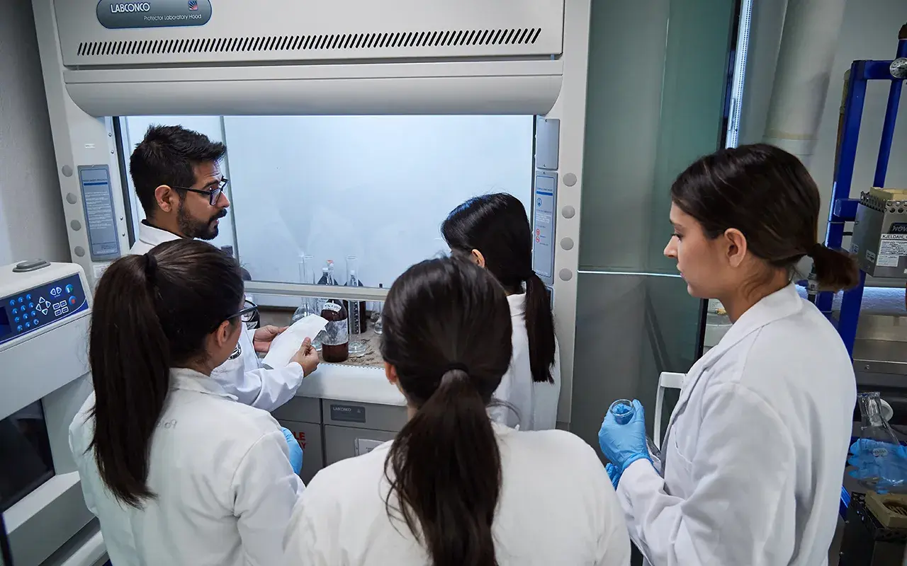 Maestro y alumnos observado.