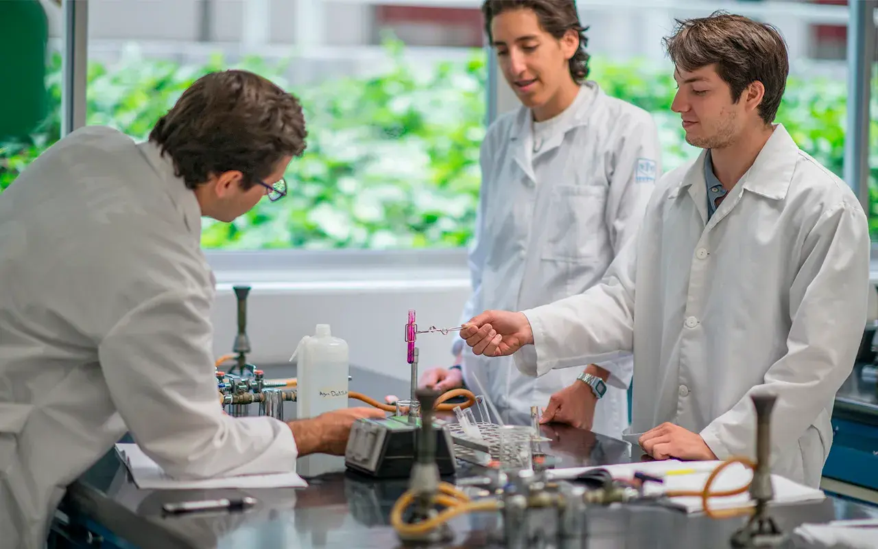 Alumnos usando instrumentos.