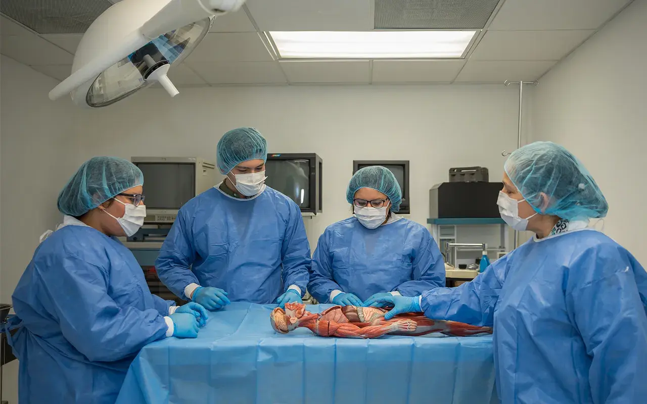Alumnos en práctica dentro del quirófano experimental.