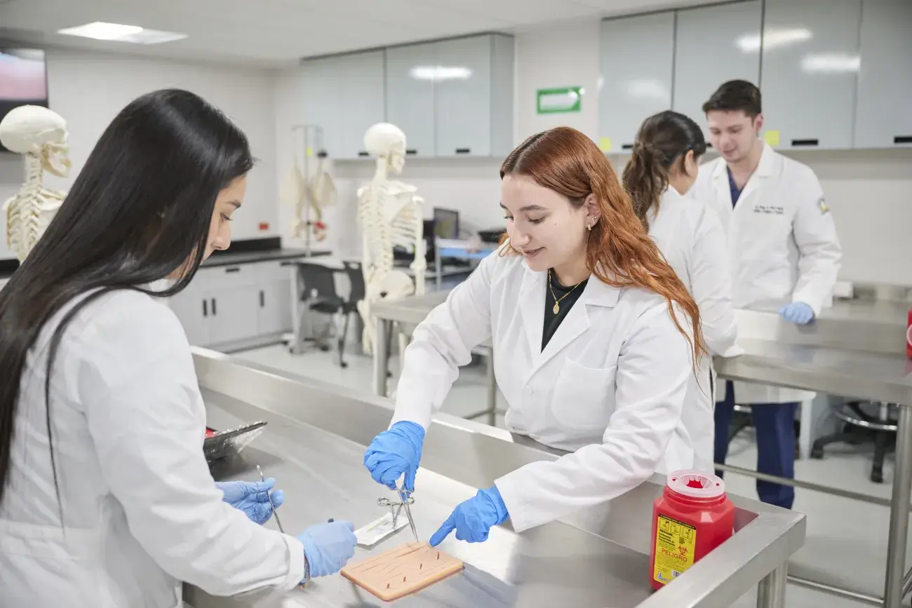 Laboratorio de Anatomía Humana 