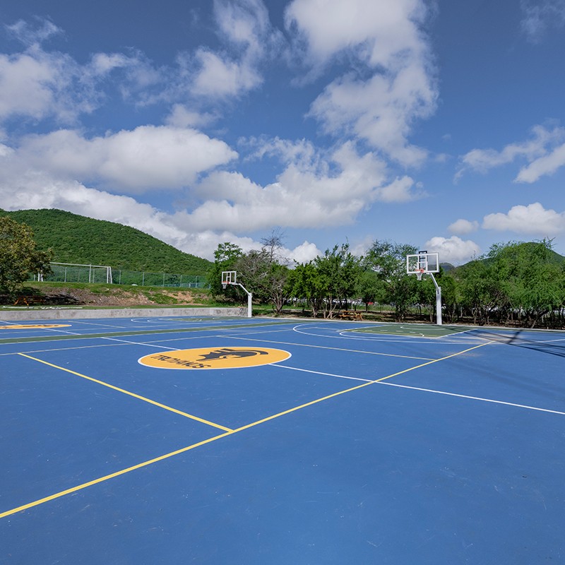 Universidad de Monterrey Prepa Valle Alto — Sports